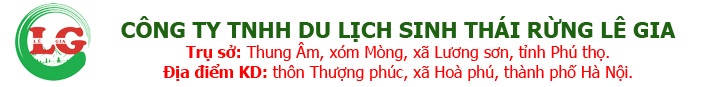 Tinh Dầu Việt Nam